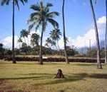 Hawaiian pa site